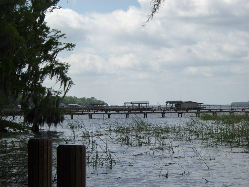 St Johns River, Riverdale 2003